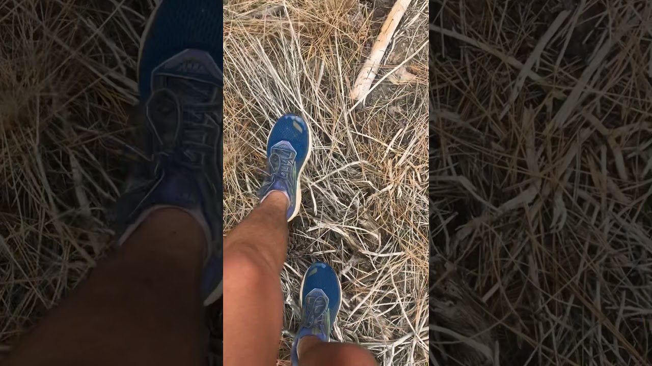 Walking Through Crunchy Pinecones ASMR