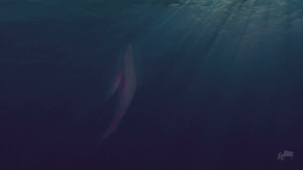 Andrea Vanzo - Find a Melody (Sleep Version) (Official Visualizer)