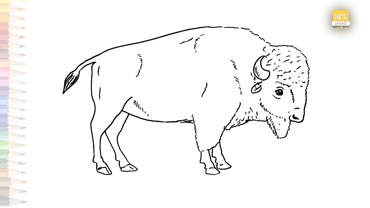 Easy American Buffalo Drawing HACKS You Never Knew Existed | Animal sketches easy | #artjanag