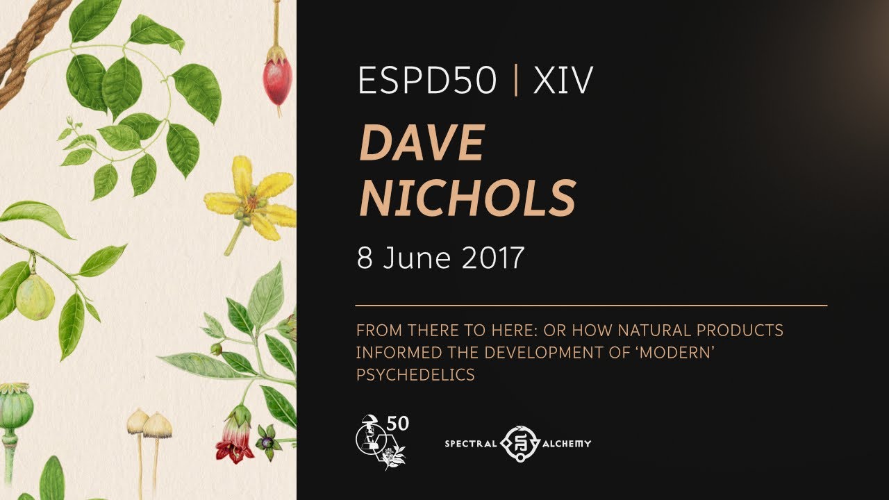 David Nichols: How LSD, DMT & Mescaline Work in the Brain