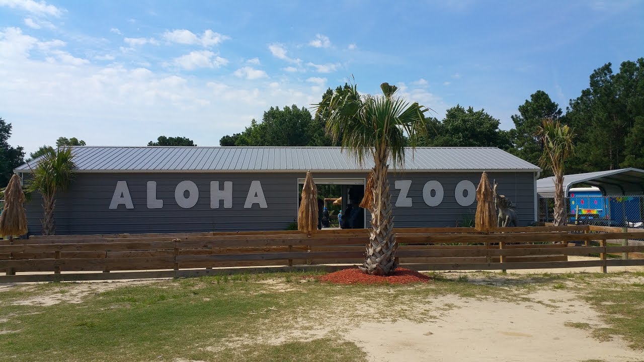 A Trip to the Aloha Safari Zoo in Cameron, North Carolina