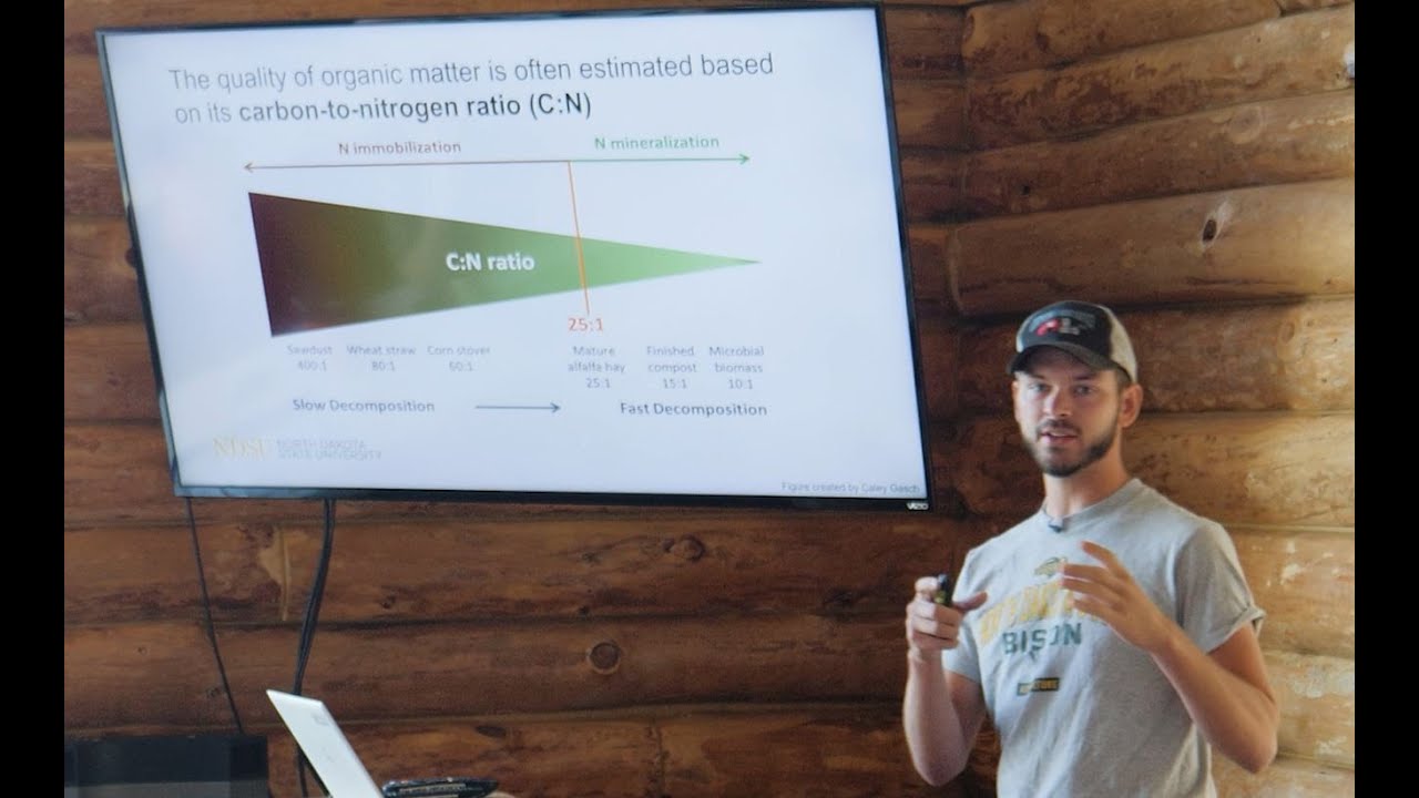 Residue Composition and Nitrogen Cycling