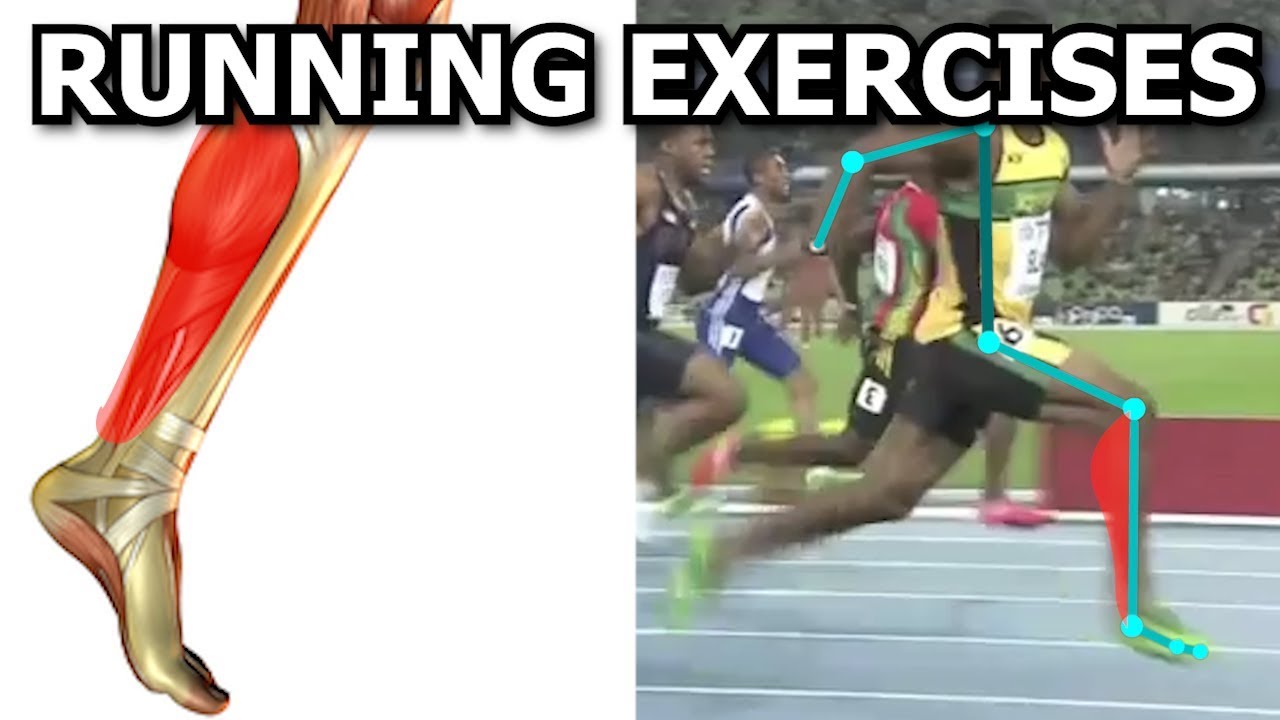 Running Exercises: What the Calf Muscles do When you Run!
