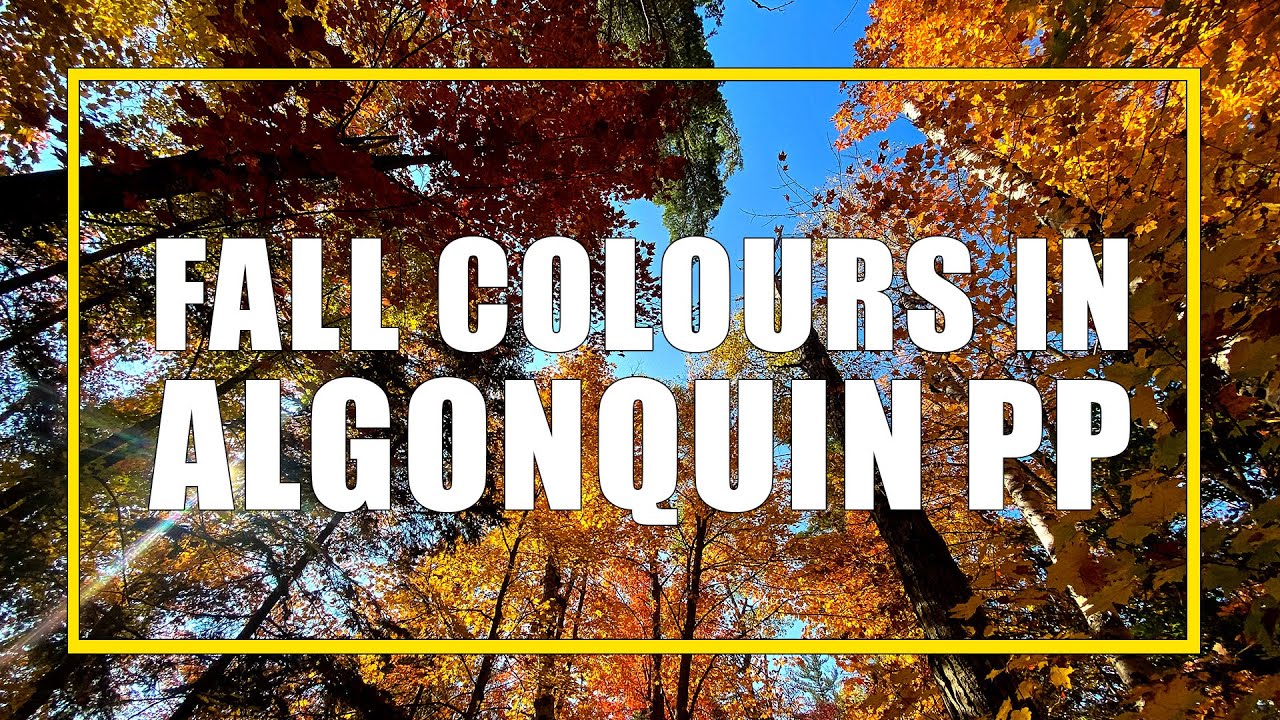 How To See The Best Fall Colours In Algonquin Park