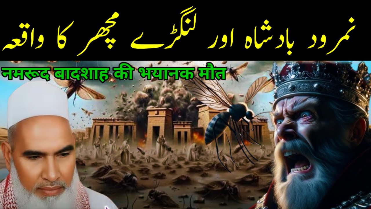 Namrood Badshah Ki Mout Ek Machar Se Kaise Hui | Qari Hanif Multani Bayan | Kari Hanif ki takrir 