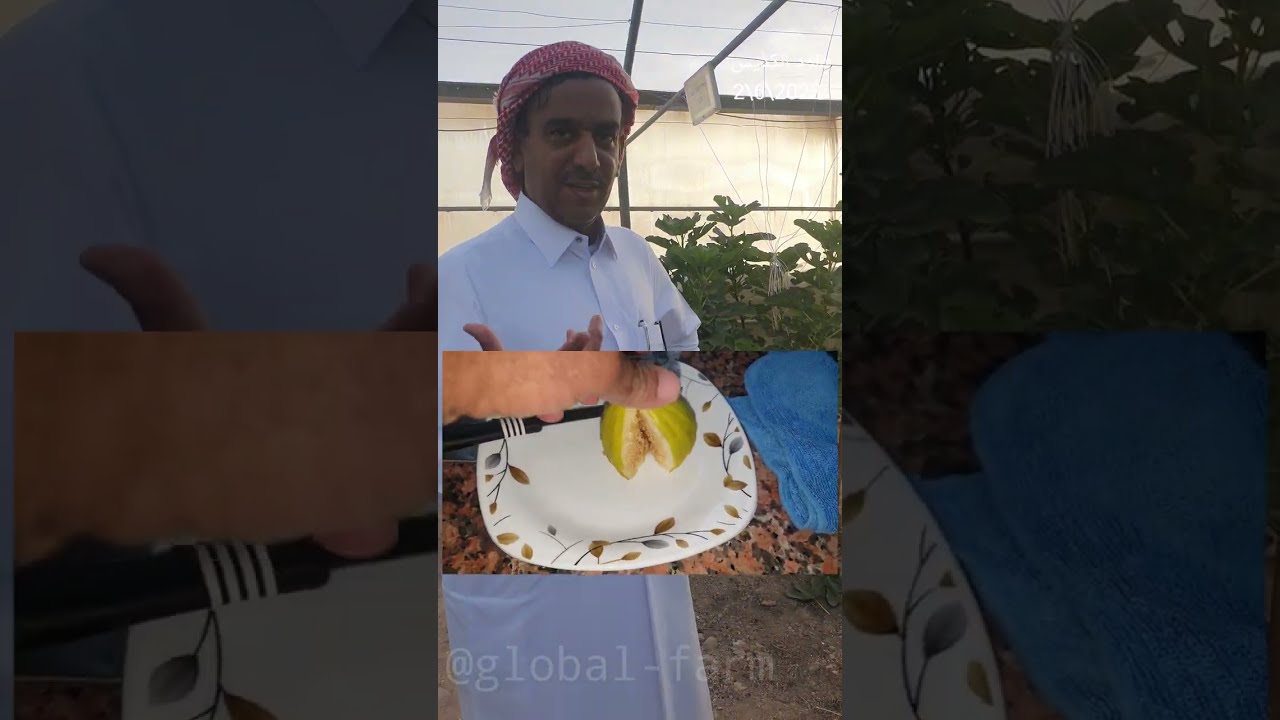 الجزء الثالث لزيارة المزرعة العالمية بقطر الحبيبة