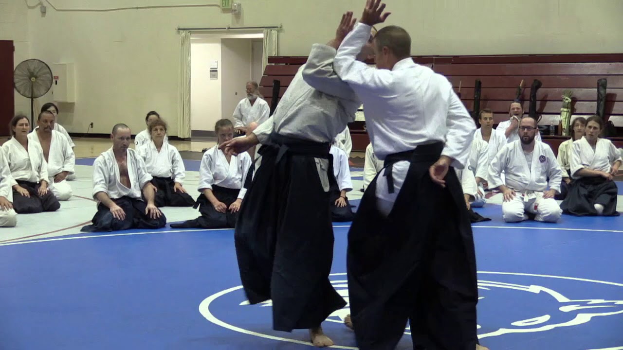 Birankai Aikido Summer Camp 2017 - D. Belt, Class 1