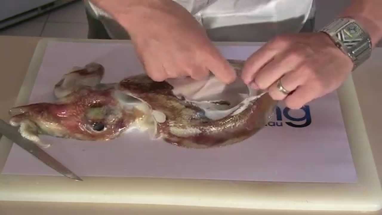 How To Clean & Prepare Cuttlefish - without bursting the Ink Sack!