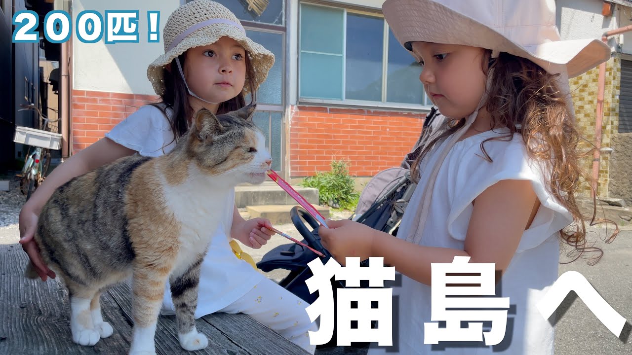 人気の猫島に行ってみた｜We went to the popular cat island