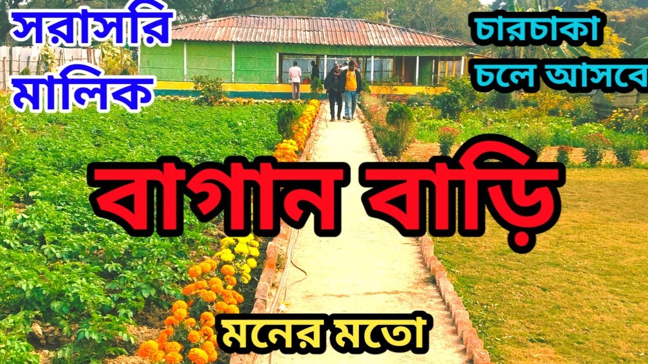 বারুইপুর বাগানবাড়ি বিক্রয় 3 বিঘা কম দামে 