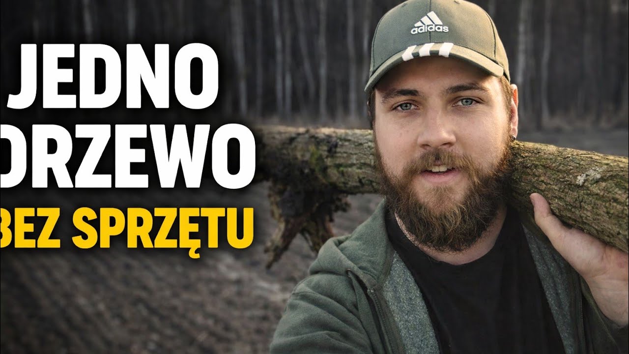 Jedno drzewo. Bez sprzętu + TEST!