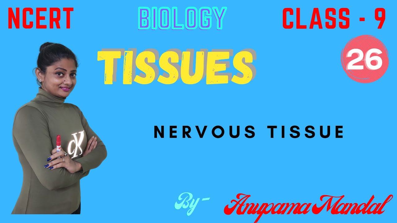 TISSUES | NERVOUS TISSUE | CLASS - 9 | BIOLOGY