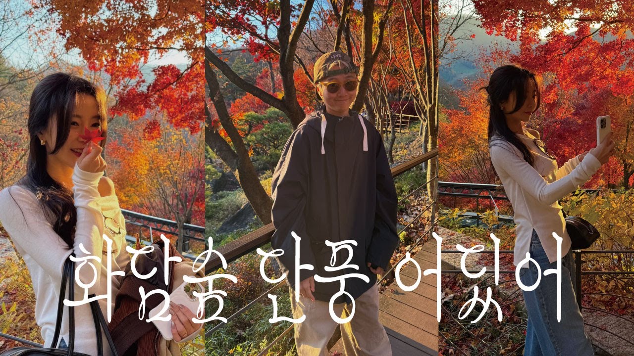 (vlog) 화담숲 갔는데 단풍 없는 이슈 (레즈커플 lesbian couple)