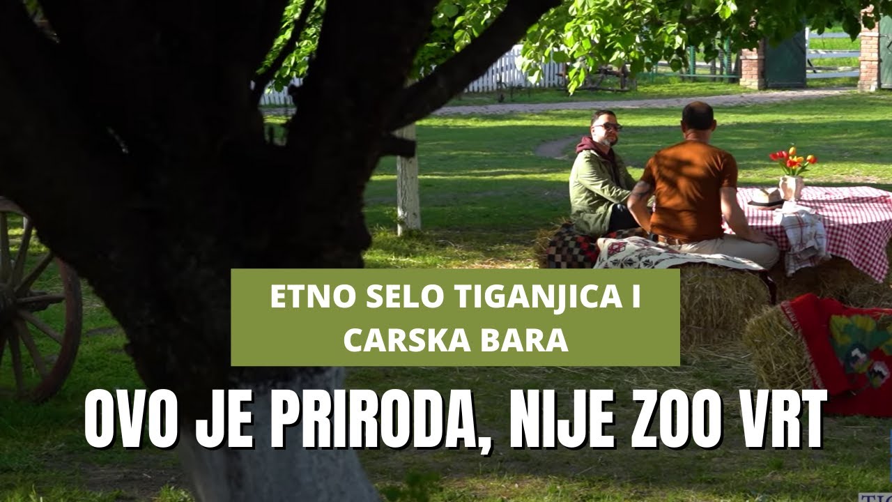 Banatska avantura | Etno selo TIGANJICA, Carska bara i sve banatske čari | TURIST EXPERT Ep.12