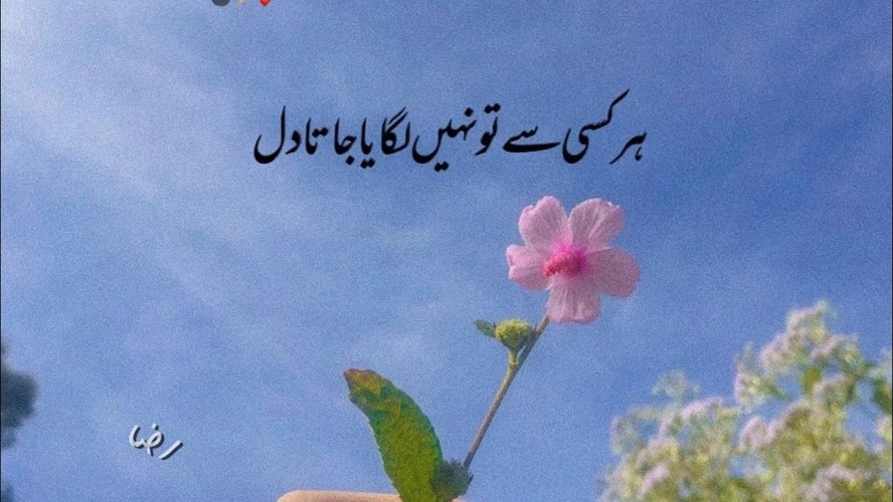 One line quotes || deep one line quotes || life changing reality|| for dpz 🙃