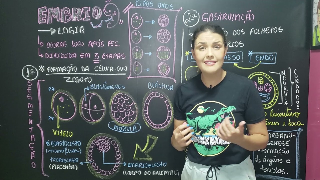 Embriologia e Anexos Embrionários | Aula Completa 👶🙊 🐒