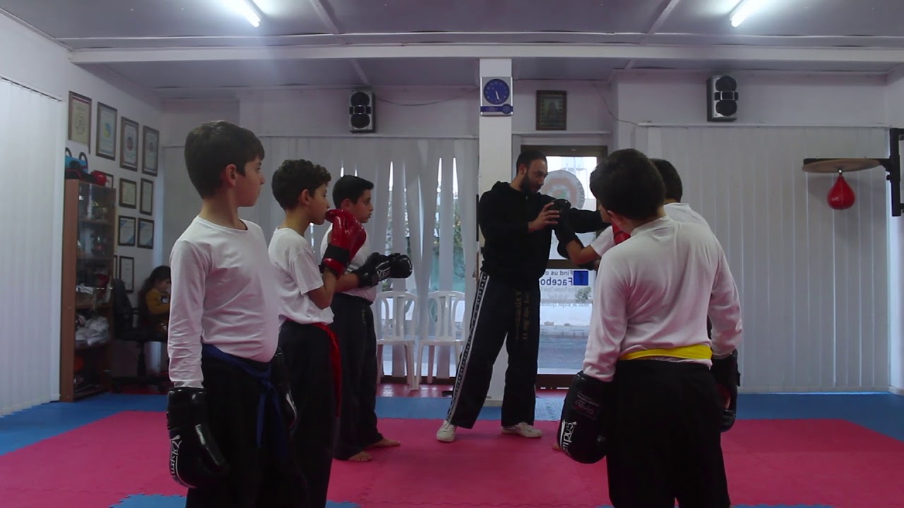 Dragon Martial Arts School Wu shu kwan Cyprus