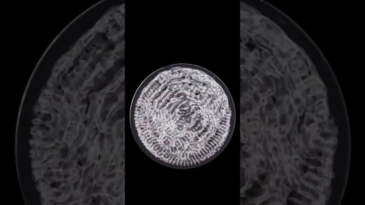 Equilibrium Tube - Himmelsrand (Cymatic Music Video)