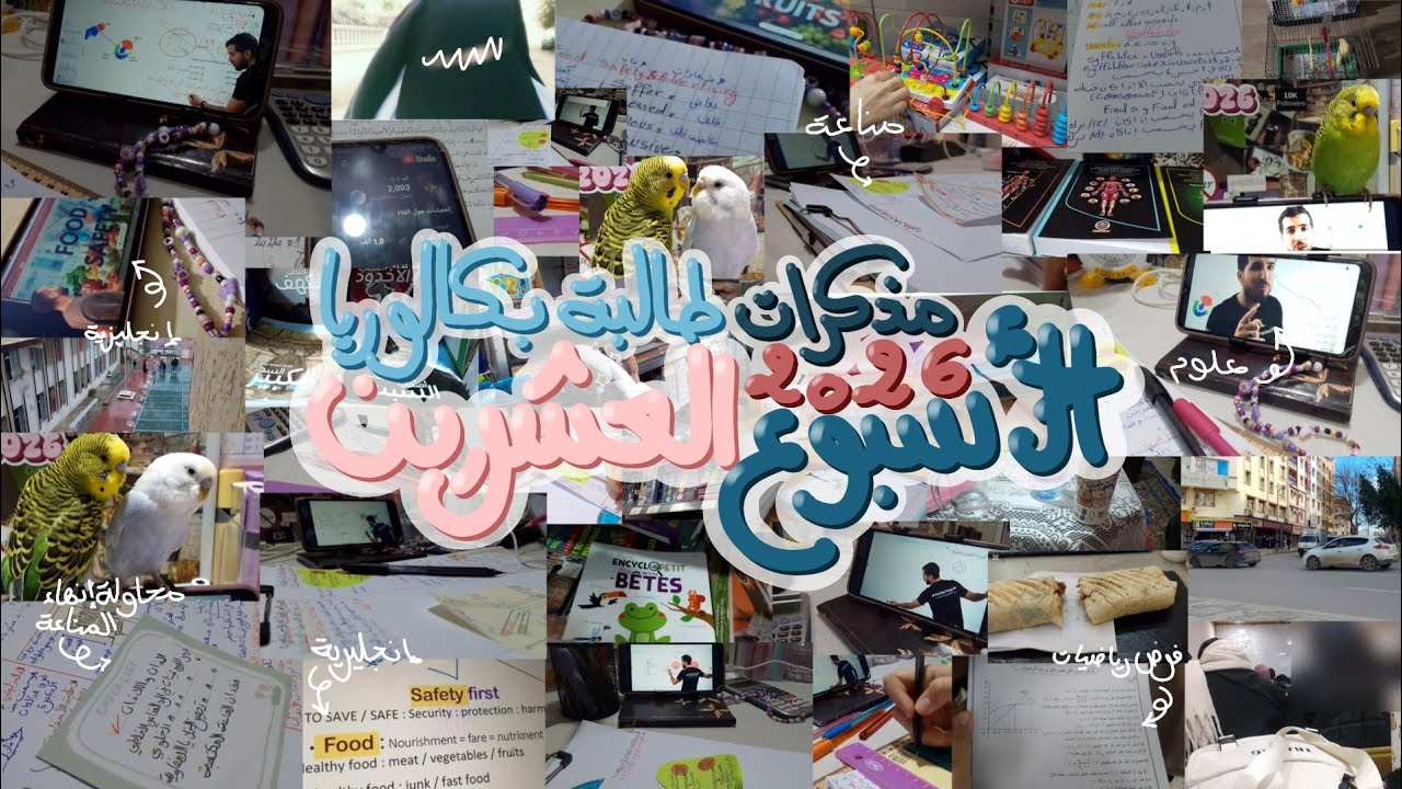 محاولة انهاء المناعة 🧫🩸 | الأسبوع العشرين من مذكرات طالبة بكالوريا 2026 🌷🤍