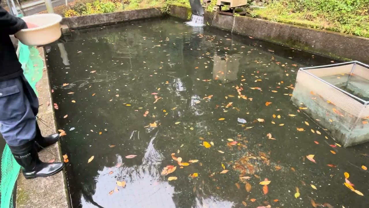 20251116飼育管理