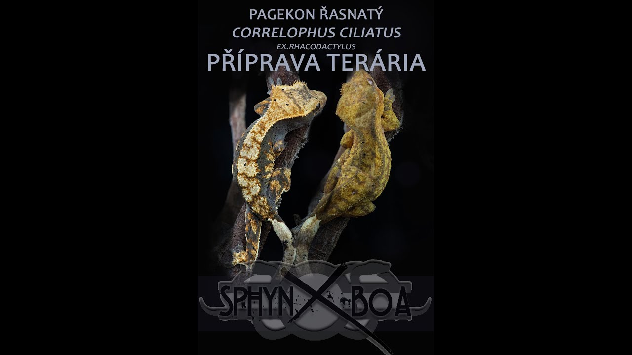 1.tera návody - Terárium pro pagekony