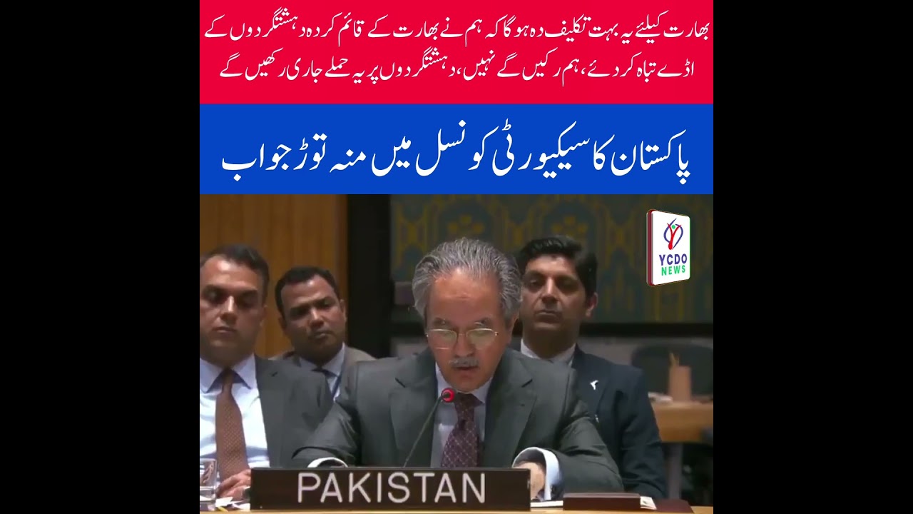 Pakistan's Strong Response at the UN Security Council Over Terror Strikes & India's Objection