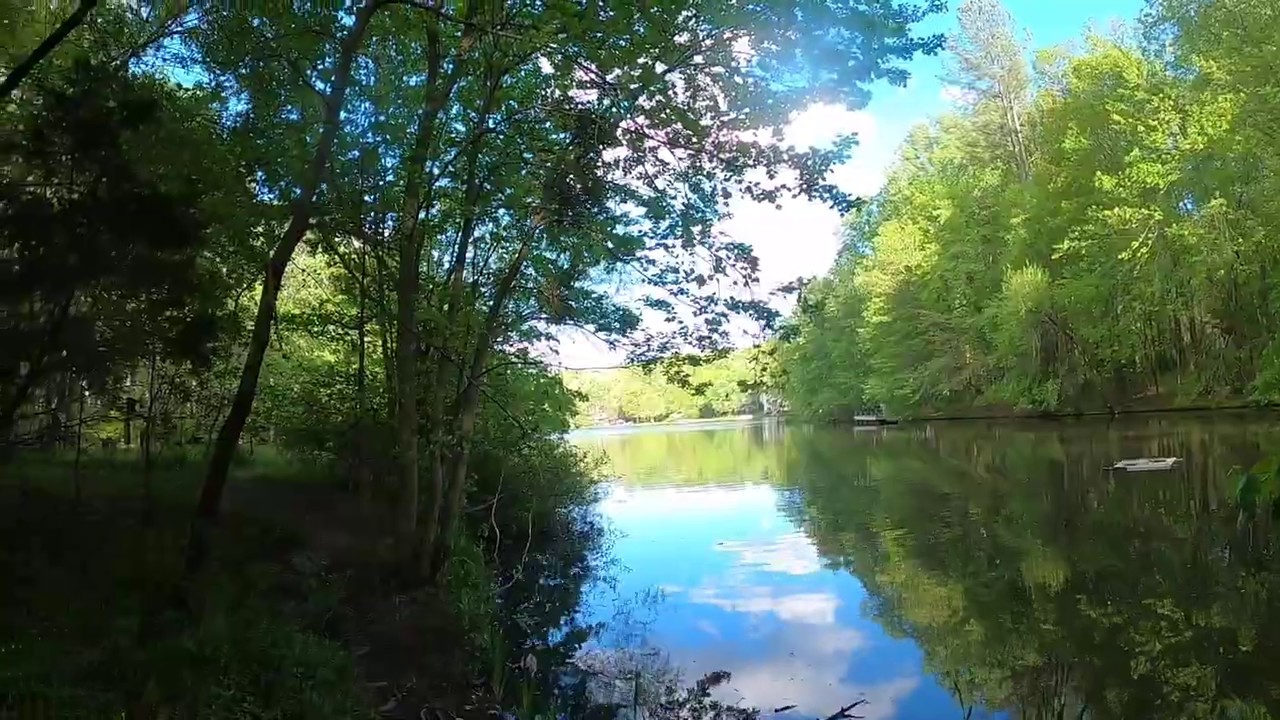 Virginia, USA - Nature's Allure