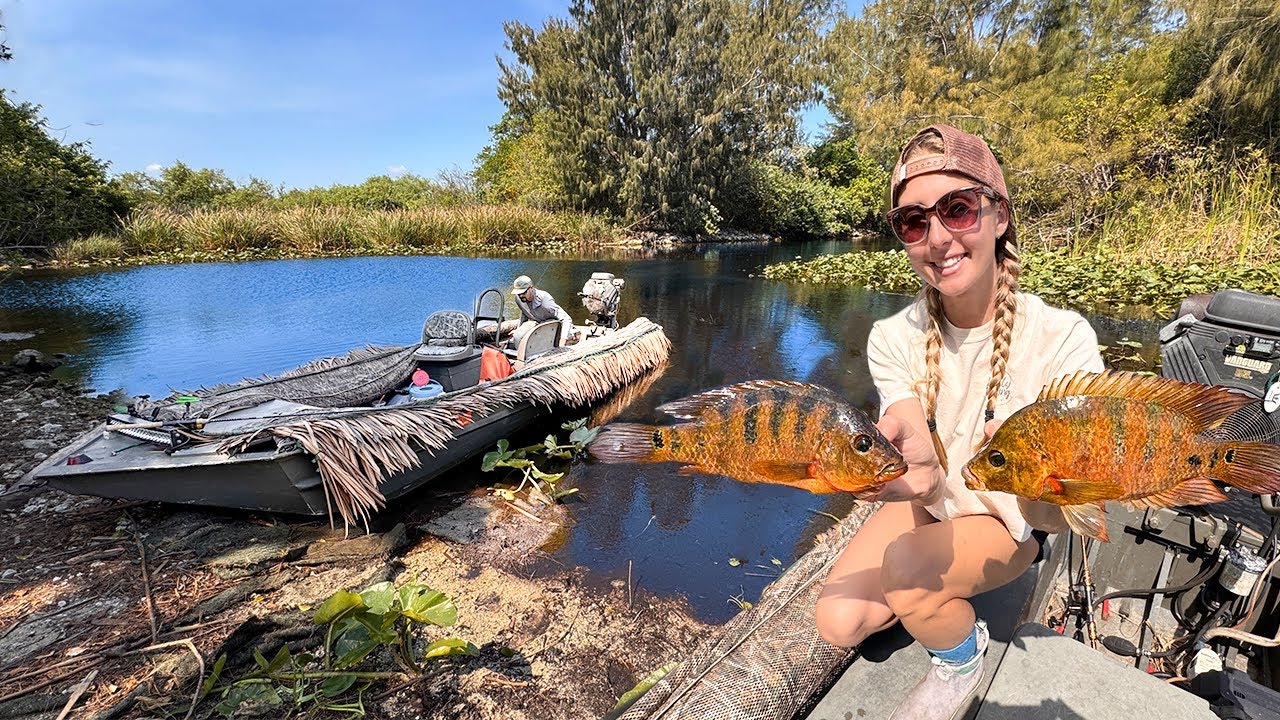 Everglades Fishing on Mud Boat (Key Lime Lobster Rolls) Catch & Cook Spiny Lobster!