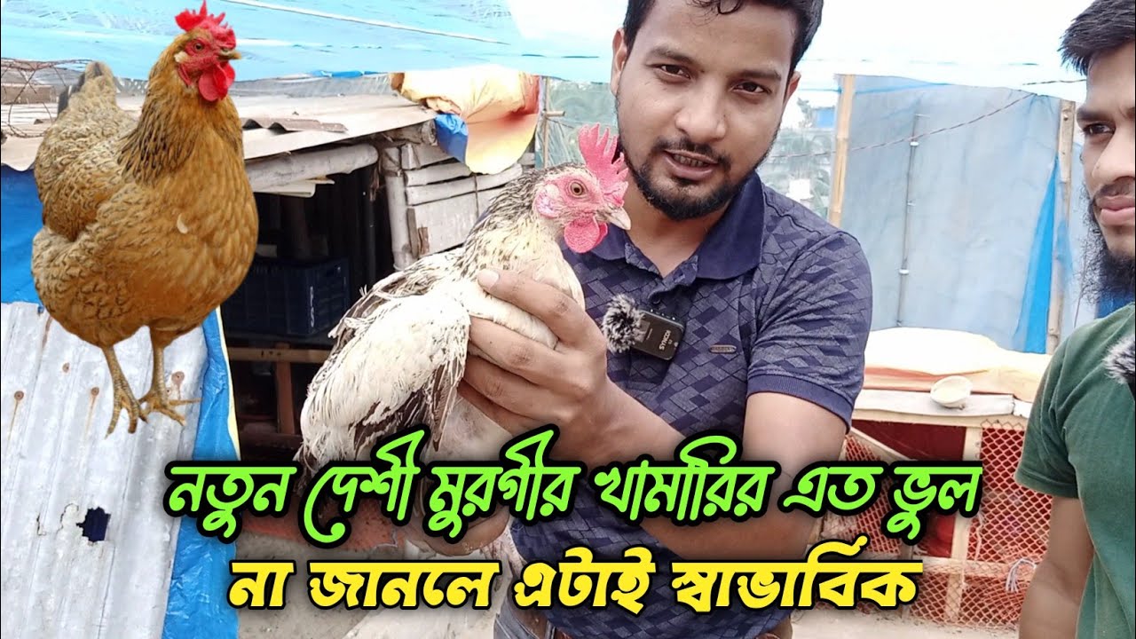 নতুন দেশী মুরগীর খামারির এত ভুল, না জানলে এটাই স্বাভাবিক #shakilfarming #murgi #দেশিমুরগি