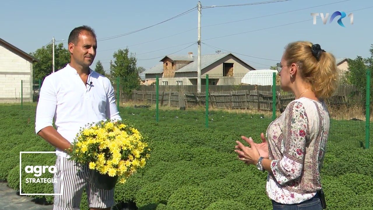 În Grădina Danei, TVR 1. Legume crescute la 50 de grade. Îngrijirea florilor de toamnă
