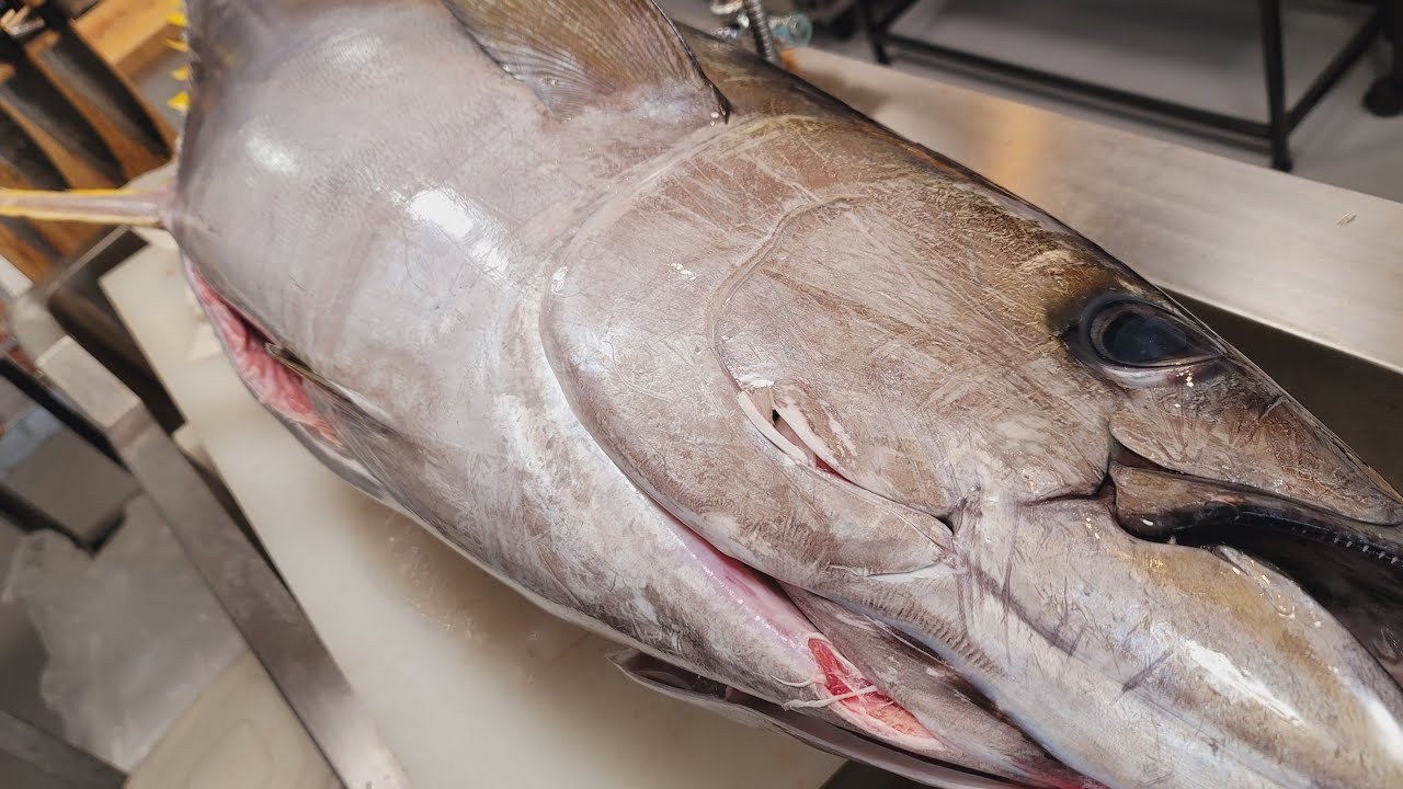 律丸の鮮魚販売🐟今日の魚介は「キハダマグロ」です！！