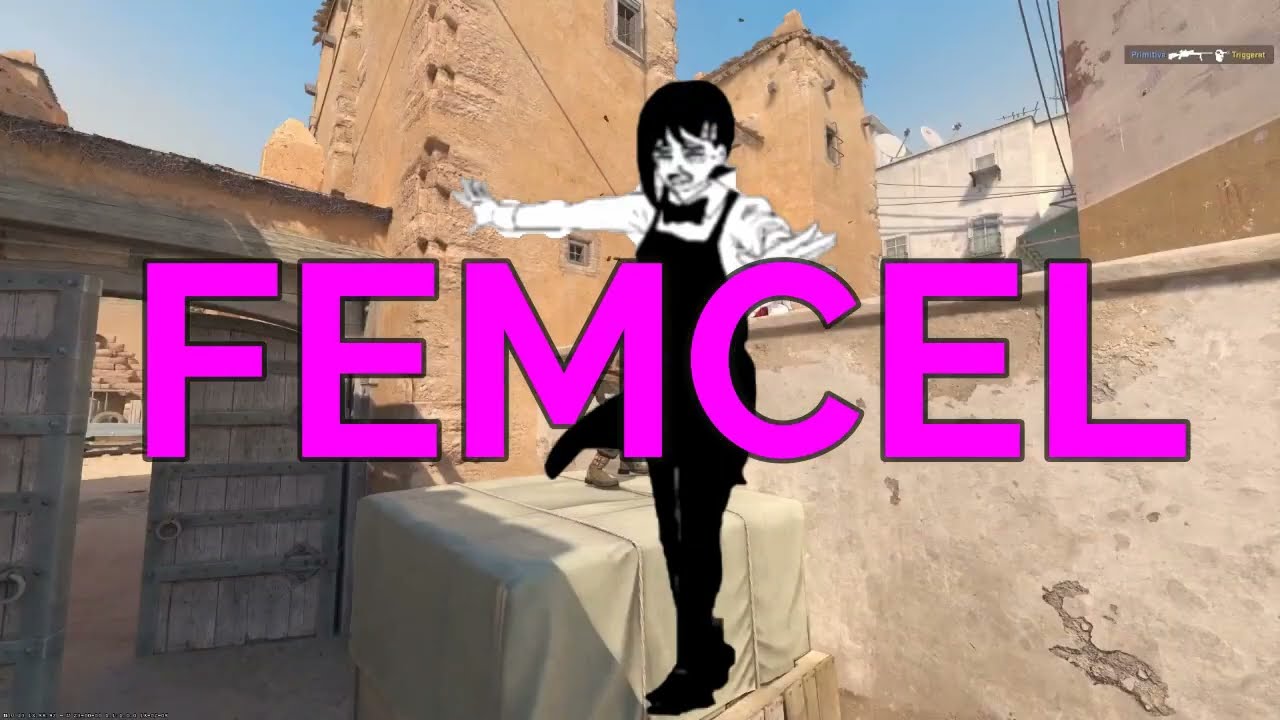 FEMCELS