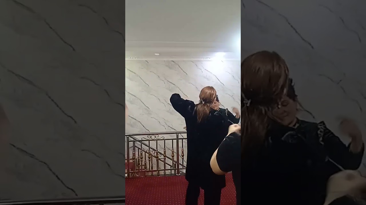 Koshinlar bilan yigʻilishib konsert
