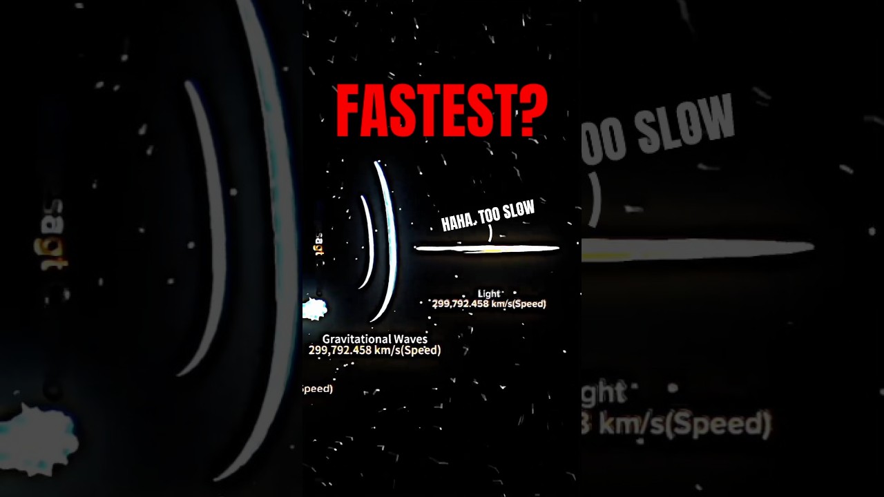 The FASTEST Thing in the UNIVERSE: SPEED COMPARISON
