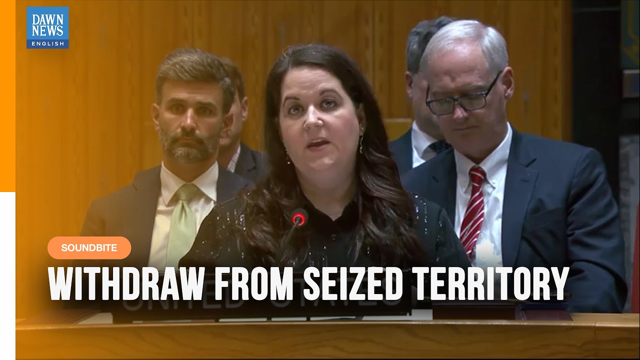 US Demands Houthis Withdraw From Seized Yemen Territory | Security Council