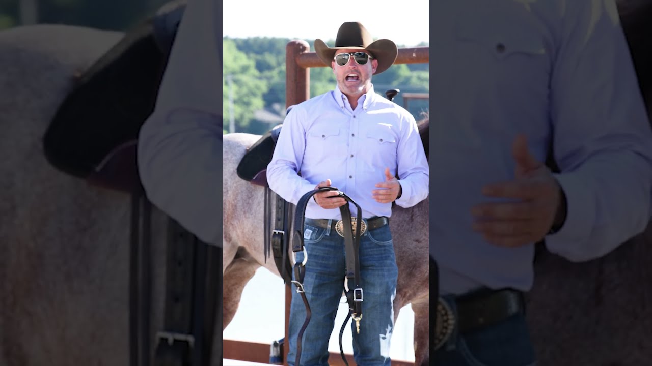 Correctly Putting a Breast Collar on Your Horse