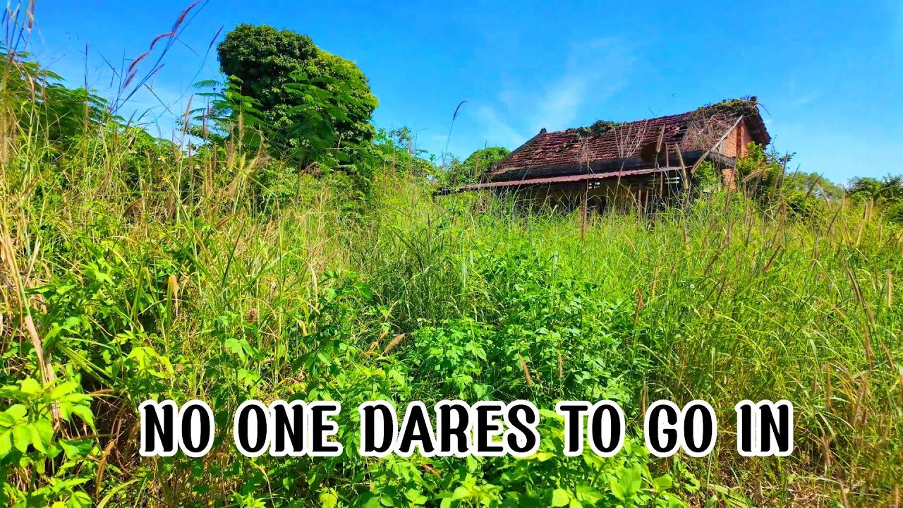 Топ-4 заброшенных дома, которые мы нашли, скрытые десятилетиями