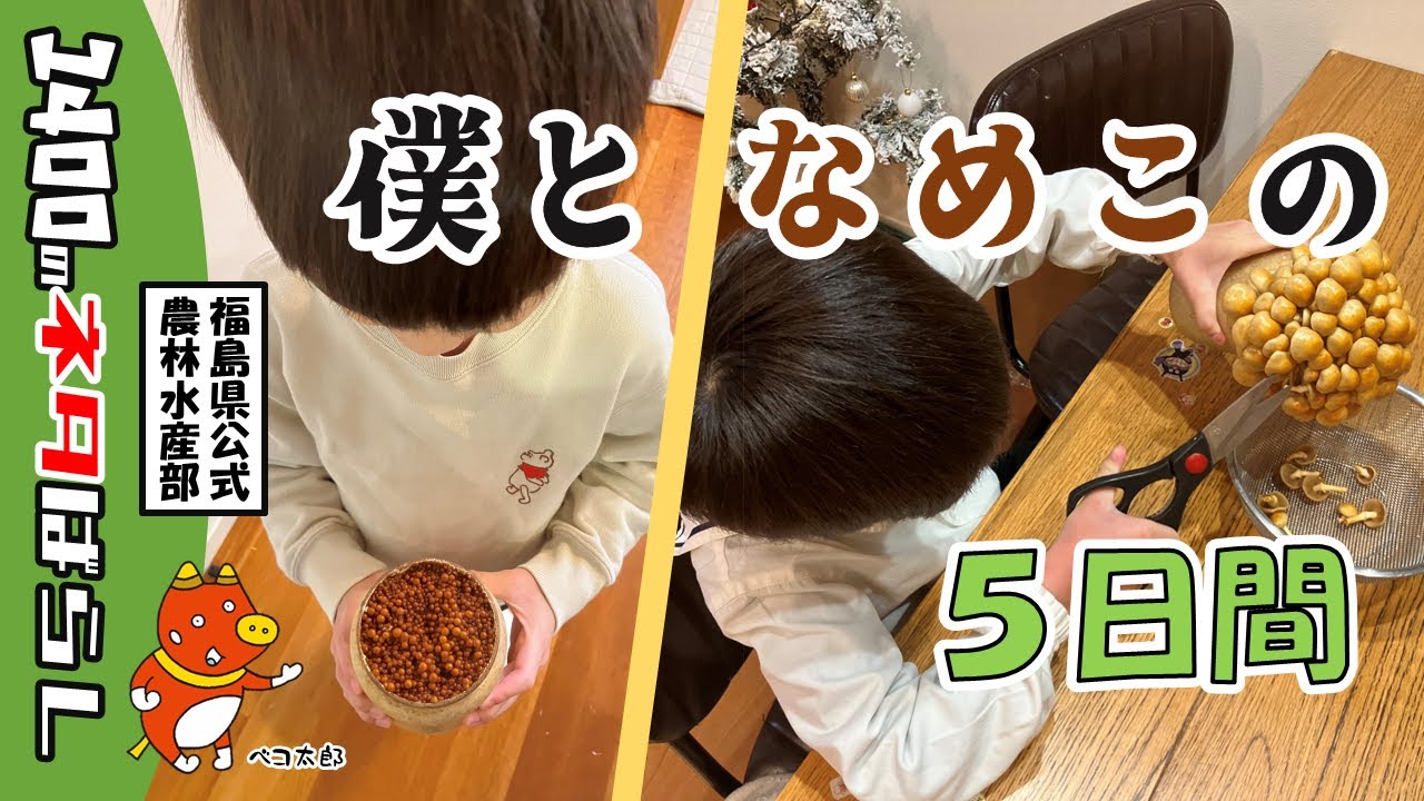 食育のススメ～６歳がなめこを栽培してみた～