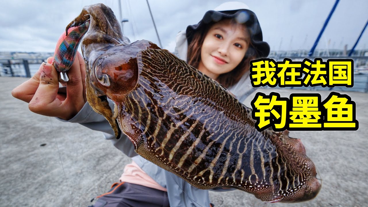 在法国钓墨鱼，如何钓3斤重大墨鱼？做铁板烧鲜甜弹牙！| 钓鱼 | 赶海 | 户外 | 海鮮 | 法国 |