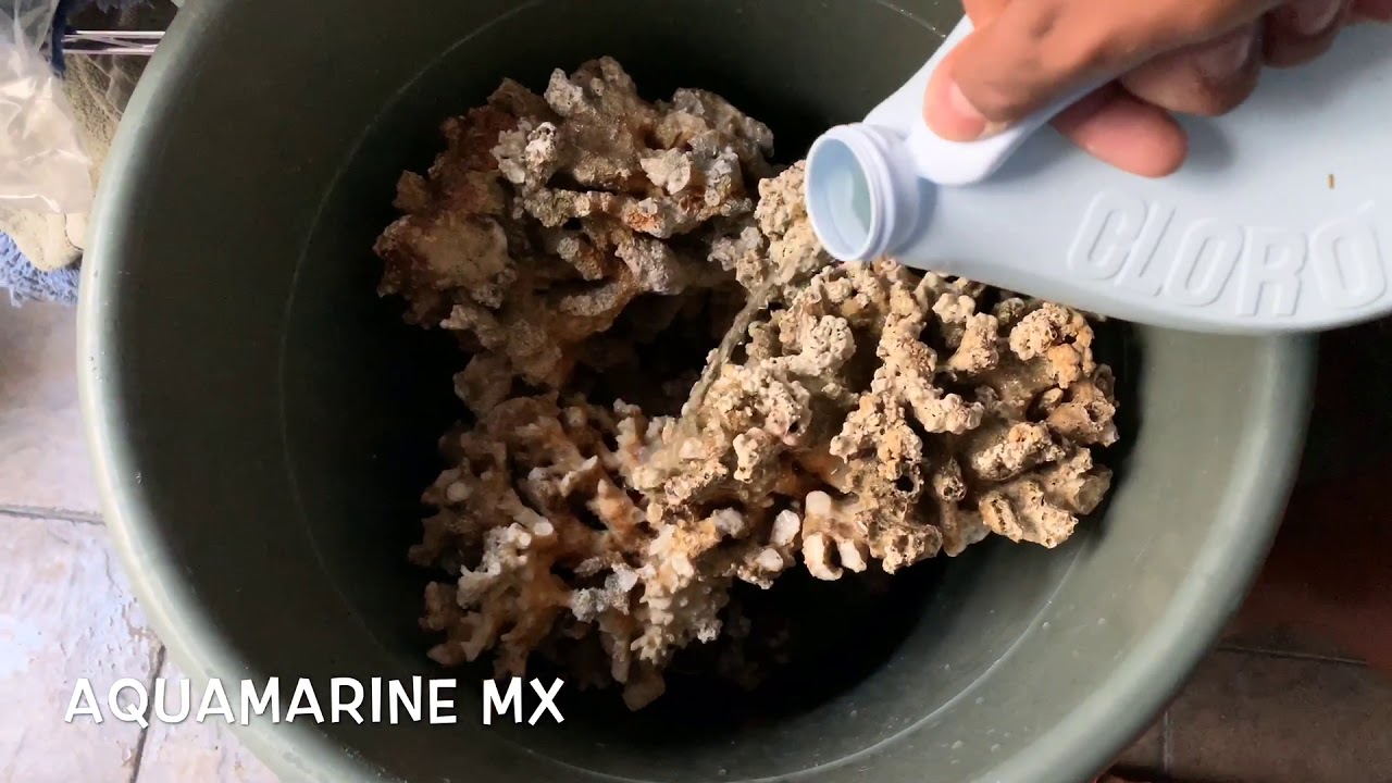 ¿Como resetear roca para marino? (Versión fácil) - AQUAMARINE MX