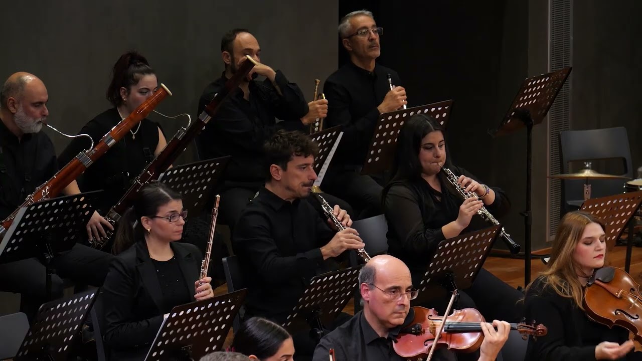 W. A. Mozart: Piano Concerto No. 20 in D minor - Konstantinos Destounis, Christos Kolovos