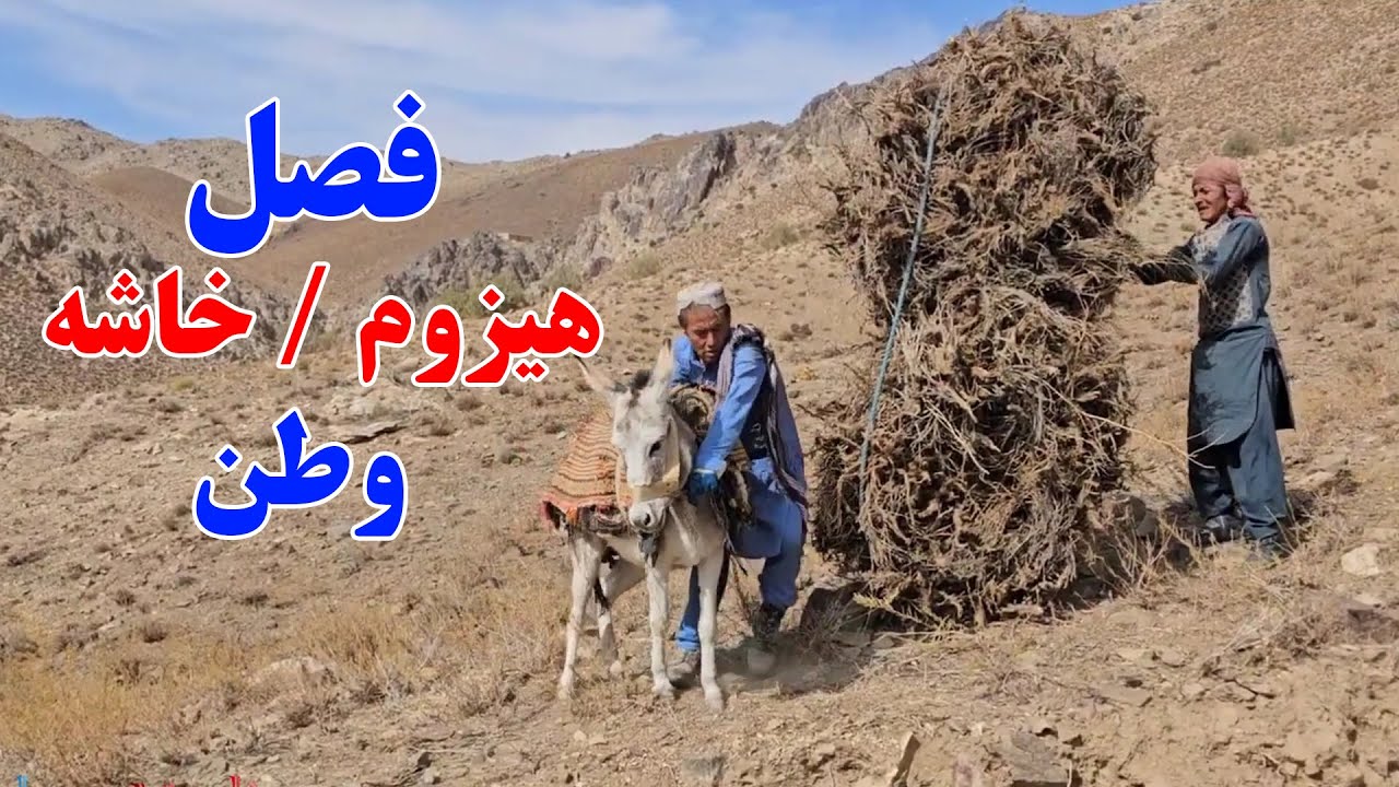 فصل تیرما / فصل هیزوم و خاشه در وطن Bringing firewood from mountain