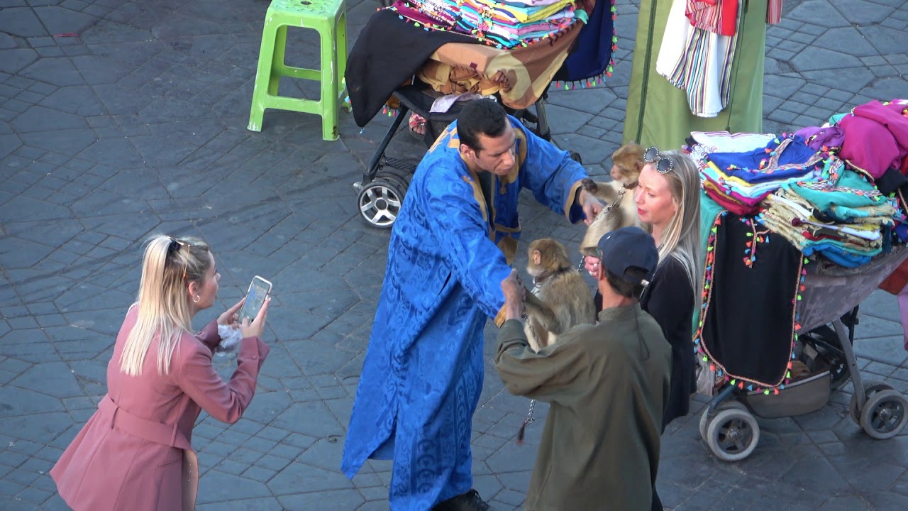 9 - 13 DE MARZO DEL 2020 MARRAKECH ( Alberto )