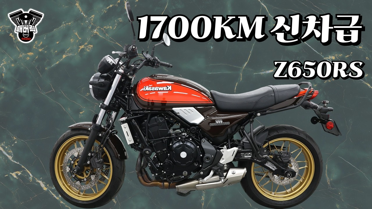 “Z650RS 50주년… 이 주행거리면 사실상 신차입니다”