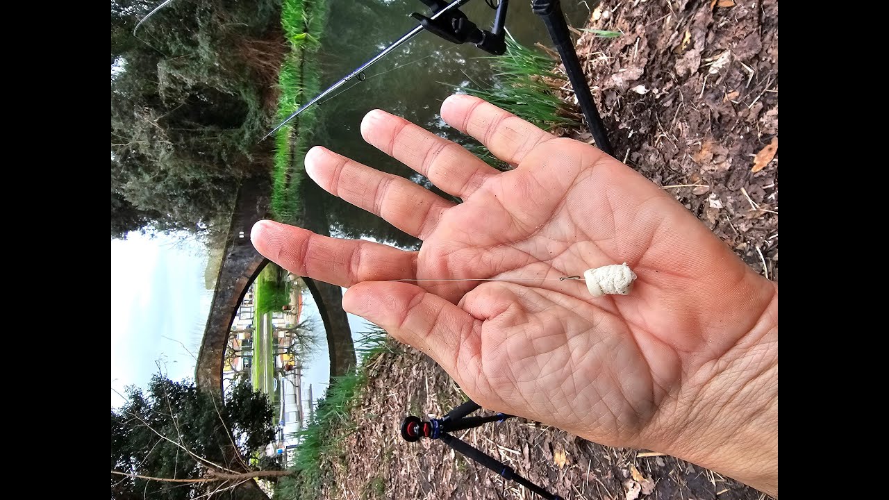 Pesca con il pane ,bread fishing 