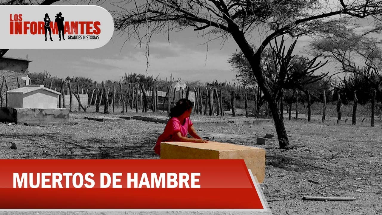La tragedia del hambre: niños Wayúu siguen muriendo por desnutrición - Los Informantes