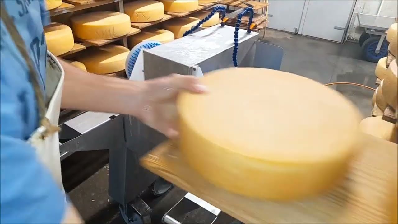 Käsesalzmaschine für Käse bis Ø350