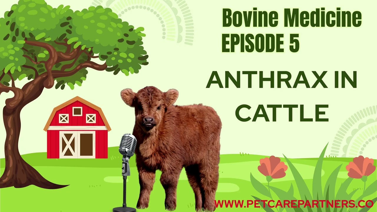 EP 5: Anthrax in Cattle | Causes, Symptoms, Prevention & Control | Pet Care Partners