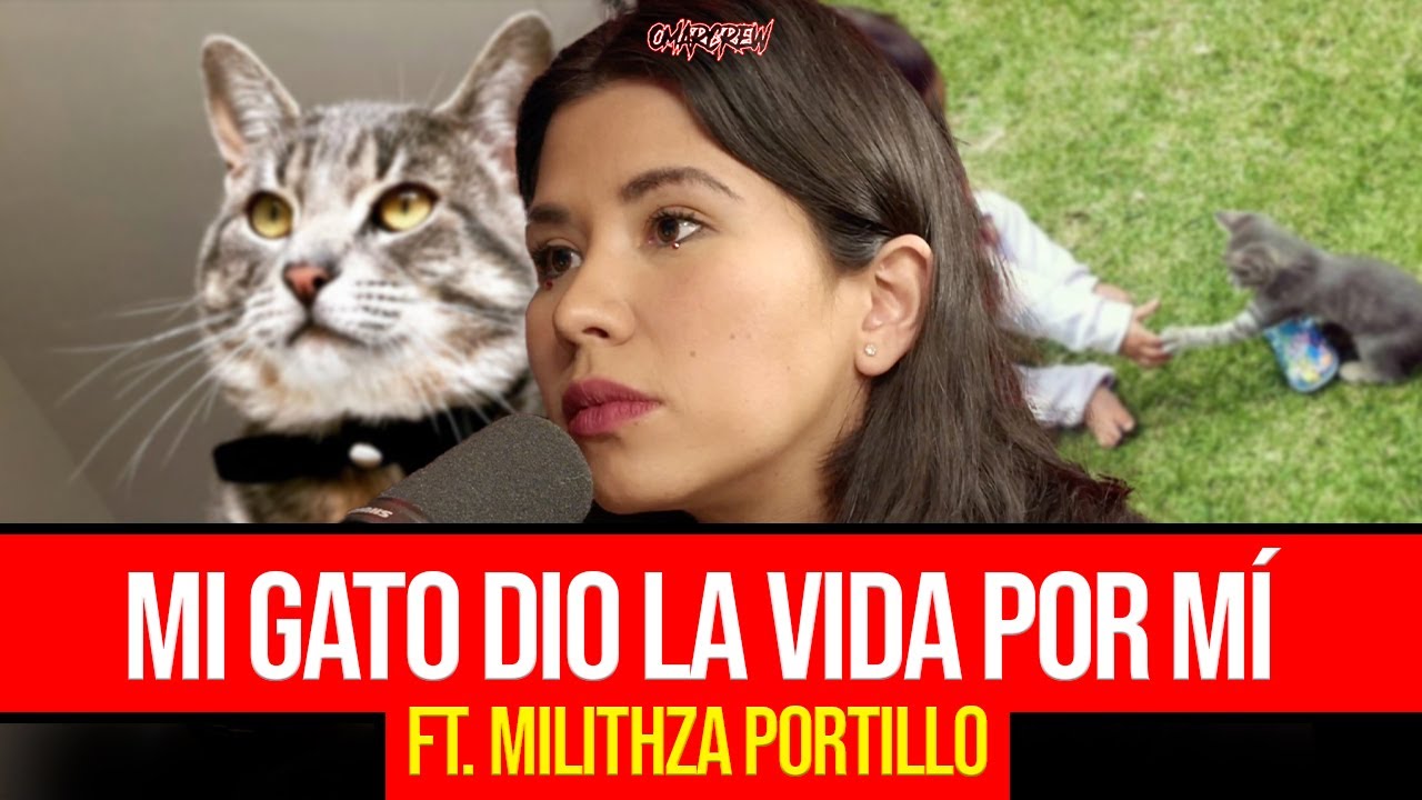 MI GATO DIO LA VIDA POR MÍ
