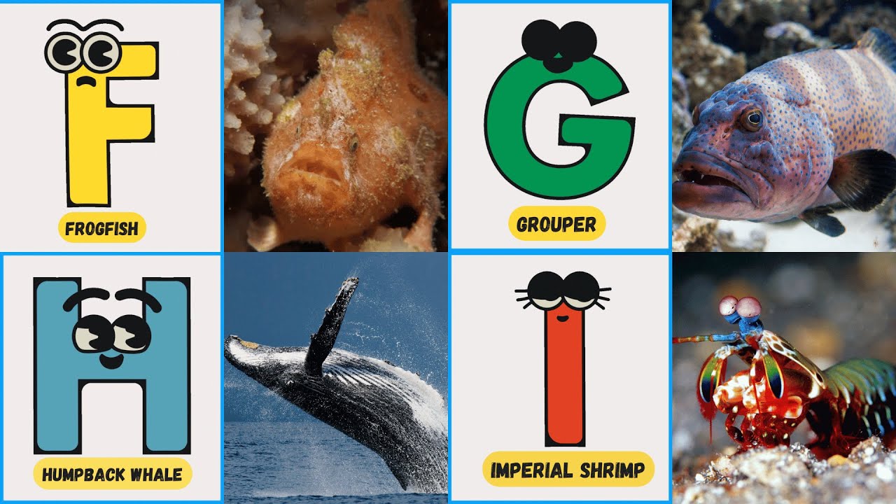 Ocean Wonders ABCs | 100 Sea Animals Alphabet Song for Kids |#abcd #kids #learning